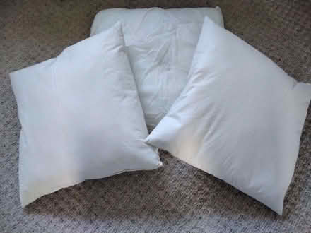 Photo of free Cushions (Gyle EH12) #1