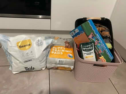 Photo of free dog food and accessories (L6 Kensington) #1
