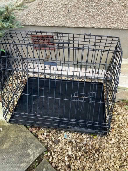 Photo of free Dog crate (Blackford EH9) #3