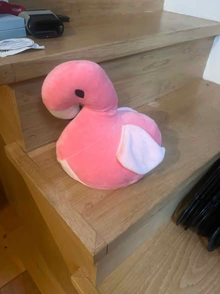 Photo of free Door Stopper (Dublin 4) #2