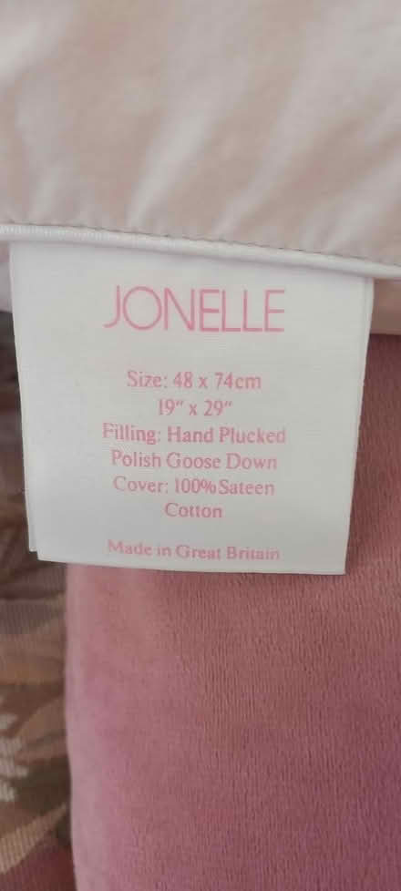 Photo of free flat sheet & pillow (Builth Wells) #2