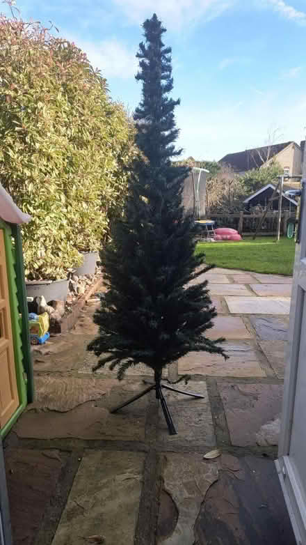Photo of free Christmas Tree (CM11) #1