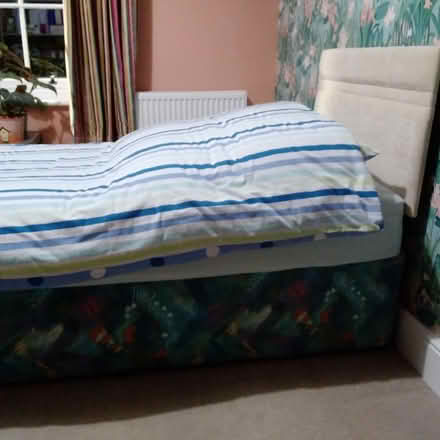 Photo of free Single storage divan (Poundbury DT1) #1