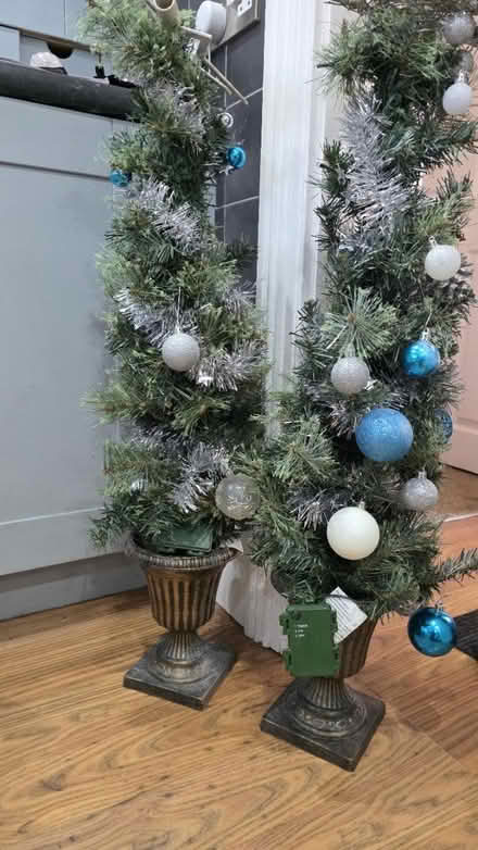 Photo of free Two mini outdoor Christmas trees (Leeds LS15) #2