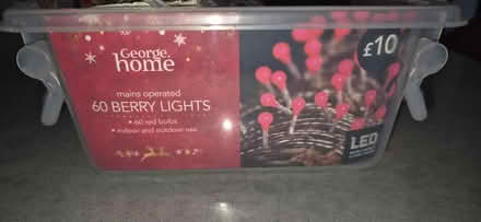 Photo of free Christmas lights (Clanfield) #3