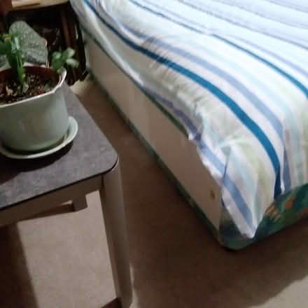 Photo of free Single storage divan (Poundbury DT1) #2