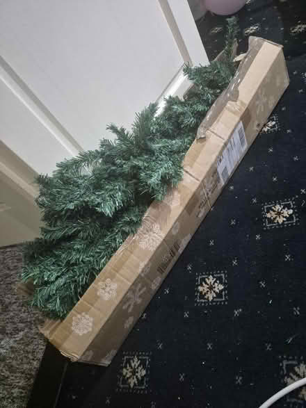 Photo of free Christmas Tree (Bethel Green) #2