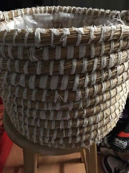 Photo of free Flower pot (Near Old Street Station) #1