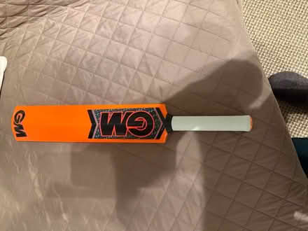 Photo of free Cricket toy (Saint John’s wood NW8) #1