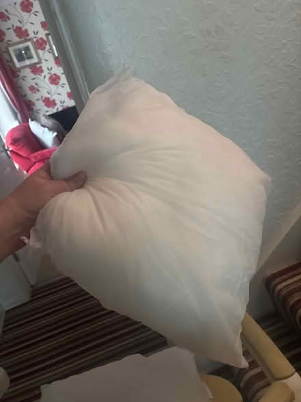 Photo of free Cushion inserts (Brierlow Bar SK17) #1