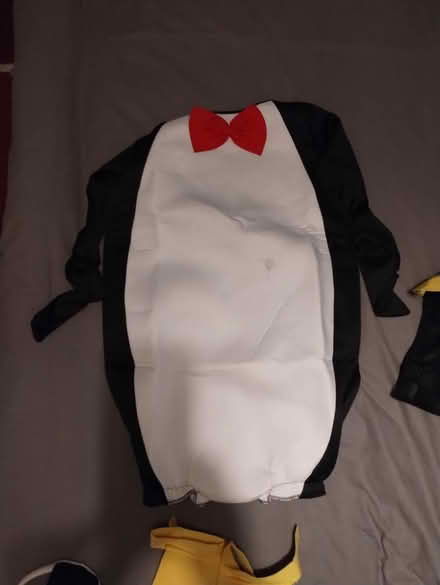 Photo of free Penguin costume (Lochend EH7) #3