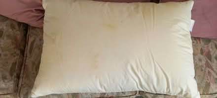 Photo of free flat sheet & pillow (Builth Wells) #3