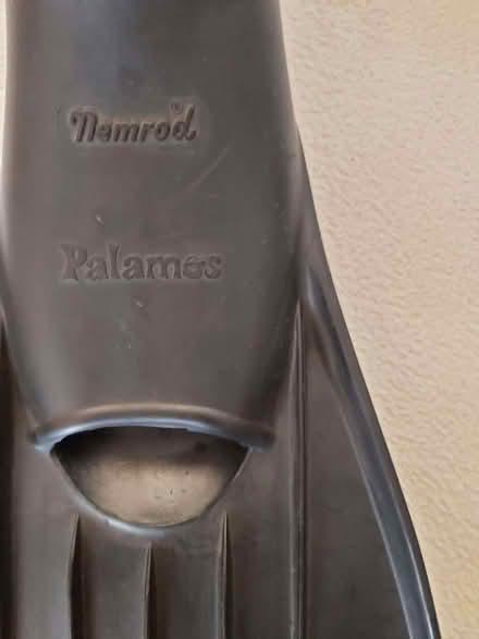 Photo of free Old Snorkelling Fins - good condition (Little Sandhurst GU47) #2