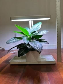 Photo of free Grolite - white, with base #1