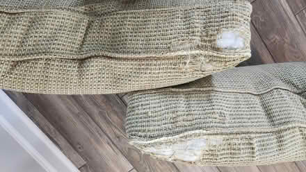 Photo of free Sunroom furniture cushions (Apex-Ten Ten and Holly Springs) #2