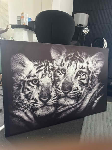 Photo of free Tiger home decor (Treeton S60) #2