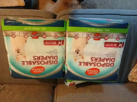 Photo of free Female dog nappies (Stone Cross BN23) #1
