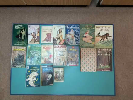 Photo of free Fiction for Young Teens (Bushey Heath WD23) #3