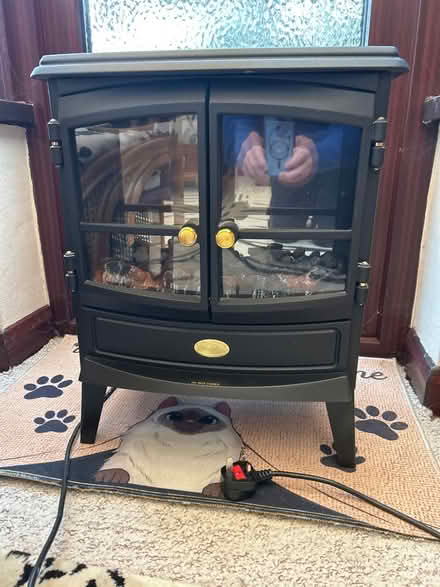 Photo of free Coal effect electric fire (Bearwood, BH11 9UH) #1