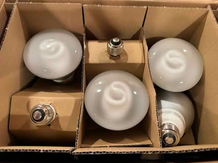 Photo of free Light Bulbs (Rochester) #1