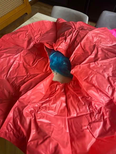 Photo of free 3 x pool inflatables (Heswall CH60) #4