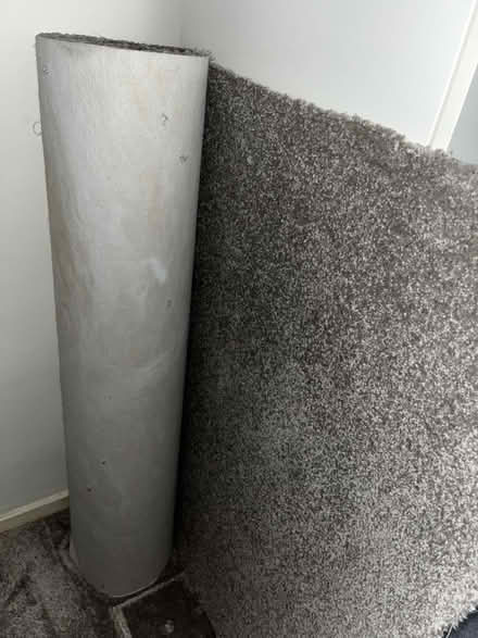 Photo of free Floor carpet (E1) #1