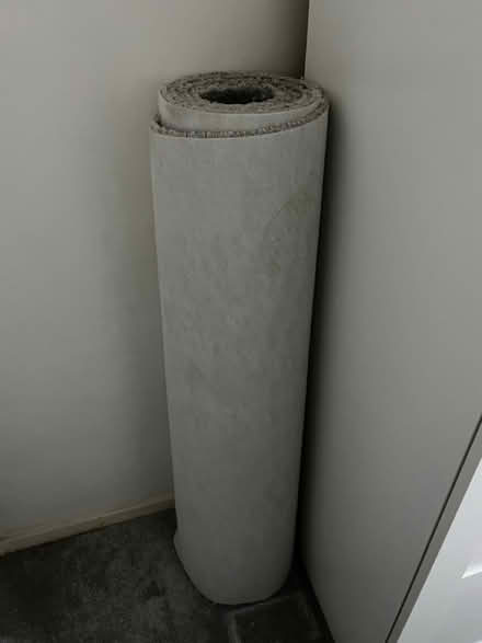 Photo of free Floor carpet (E1) #2