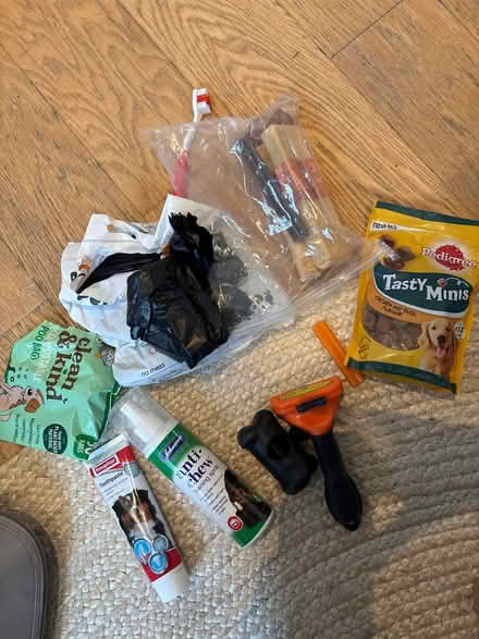 Photo of free Dog bed and accessories (W11) #2