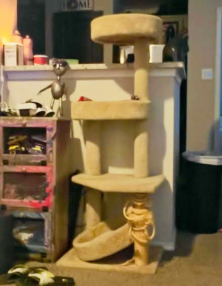 Photo of free Cat Bed and Cat Tree Stand (Boulder Ridge Apartments) #2