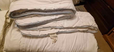 Photo of free 2 Single duvets (Upper Wellsway) #1