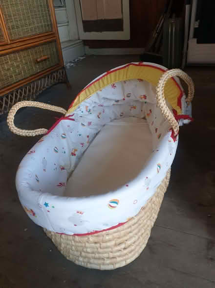 Photo of free Moses Basket with Hood (Breadsall DE21) #2
