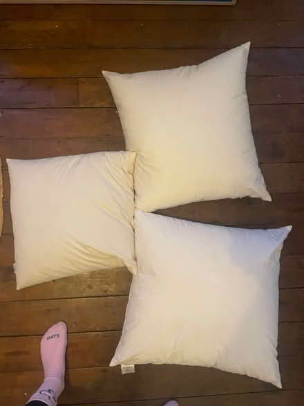 Photo of free Three feather pillows (E1) #1
