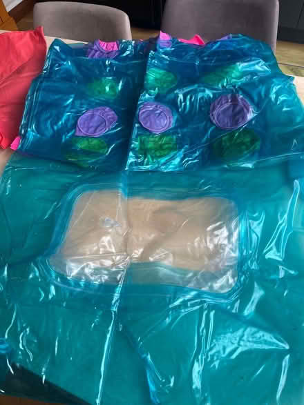 Photo of free 3 x pool inflatables (Heswall CH60) #3