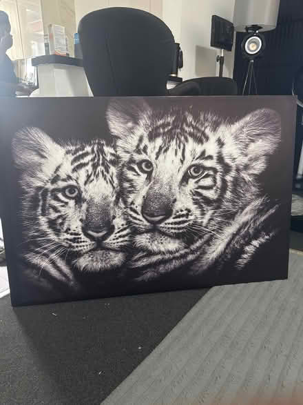 Photo of free Tiger home decor (Treeton S60) #1