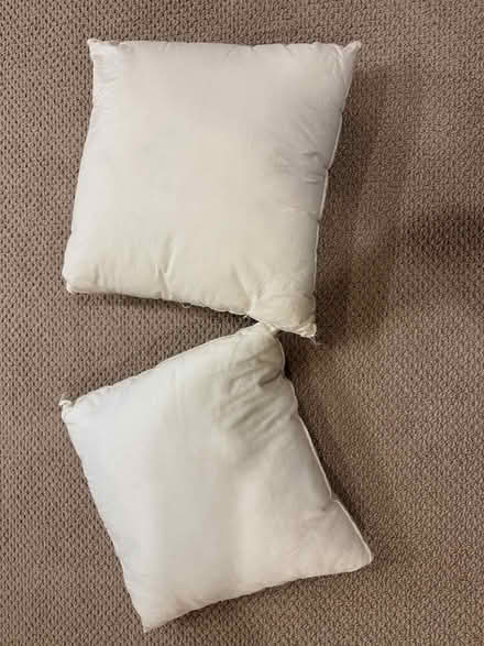 Photo of free Pillow forms (Succasunna) #1