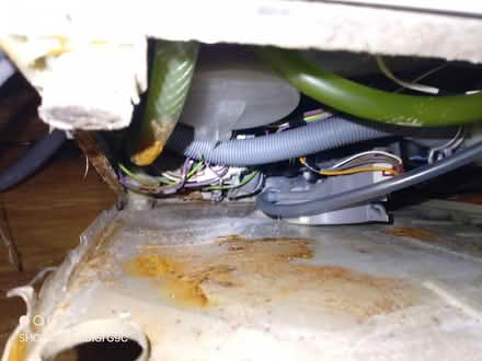 Photo of free Beco Slimline dishwasher (Malvern WR14) #3