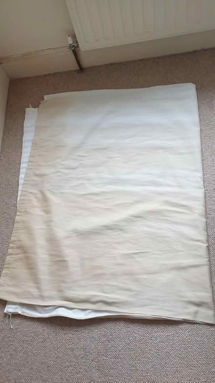 Photo of free Curtains, lined - pair (Paignton TQ3) #3