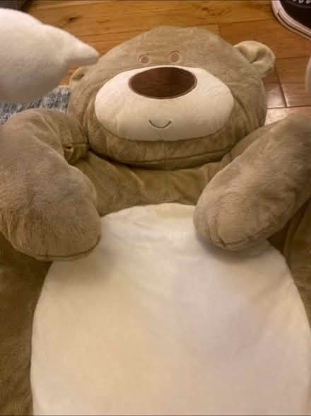 Photo of free Teddy Bear Play Gym (Cheshunt En8) #3