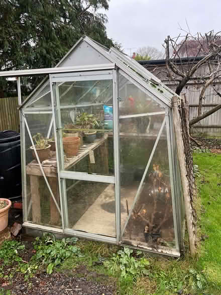 Photo of free Greenhouse (Haywards Heath RH16) #1