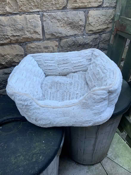 Photo of free Cat bed (Buxton Central SK17) #1
