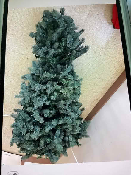 Photo of free Christmas tree (Pike Creek) #1