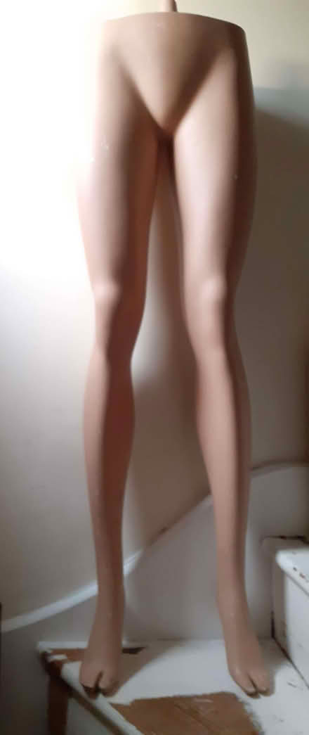 Photo of free Mannequin legs (Greenford W7) #1