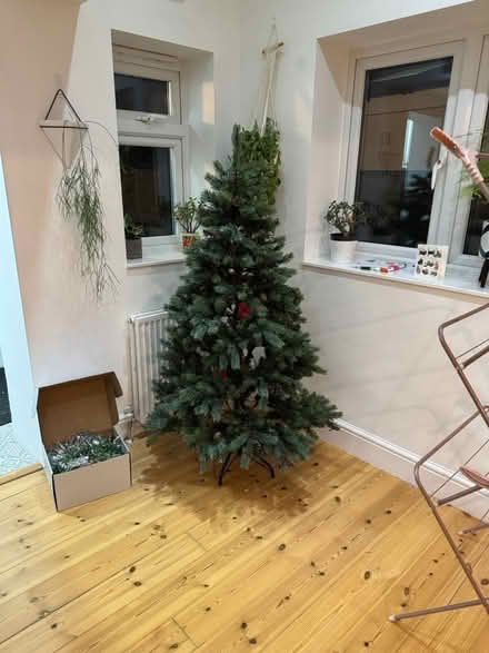 Photo of free Christmas tree (DA7 Bexleyheath) #1