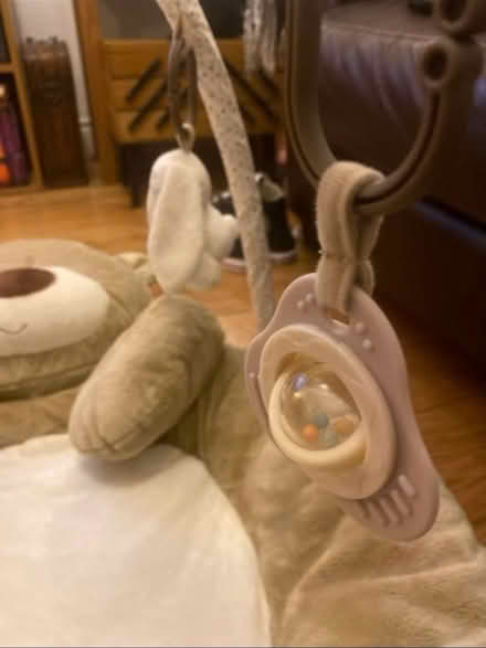Photo of free Teddy Bear Play Gym (Cheshunt En8) #4
