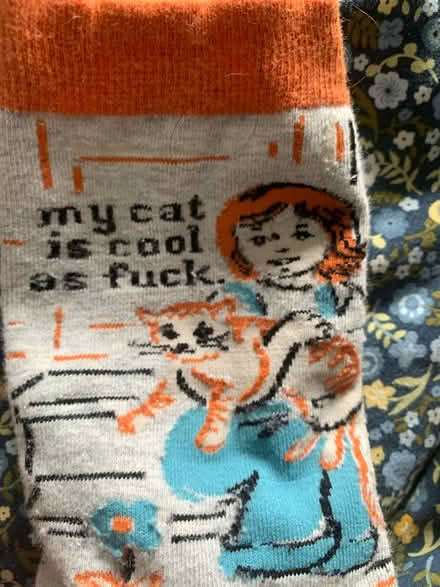Photo of free Cat socks x3 (St. Clair & Victoria Park) #4