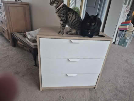 Photo of free Small chest of drawers (Wicklow town) #1