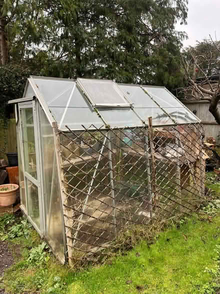 Photo of free Greenhouse (Haywards Heath RH16) #2