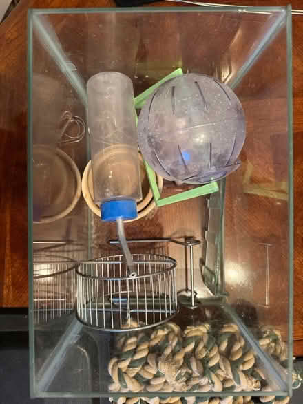 Photo of free Items for rodent-type pet (Winchester SO23) #1