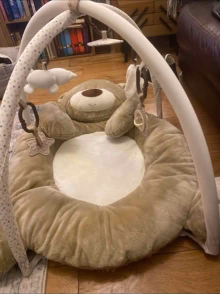 Photo of free Teddy Bear Play Gym (Cheshunt En8) #2