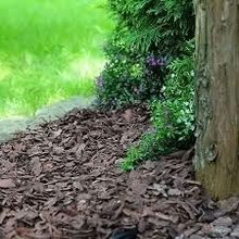 Photo of Wood & Bark Chippings for Garden (Whitefield M45) #1